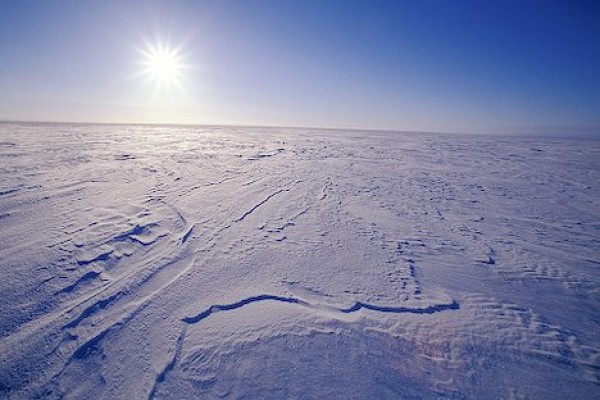 frozen-tundra_5591-e1265209320953.jpg