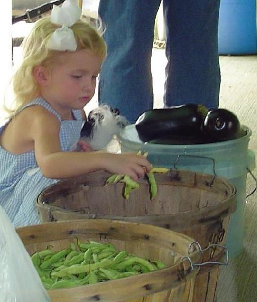 Girlpickingbeans