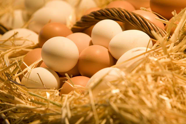 Farm_Fresh_Eggs_172112602_std