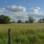 223230_rolling_kansas_prairie