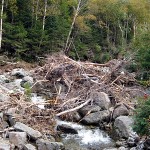 Irene damage 3