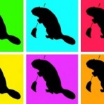Beaver