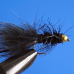 Black_Woolly_Bugger