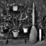broom
