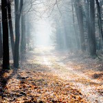 path