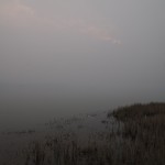 shoreline