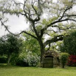 st.-francisville-cemetery (2)