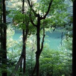 088-walden-pond-2