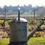 watering-can-984999-m