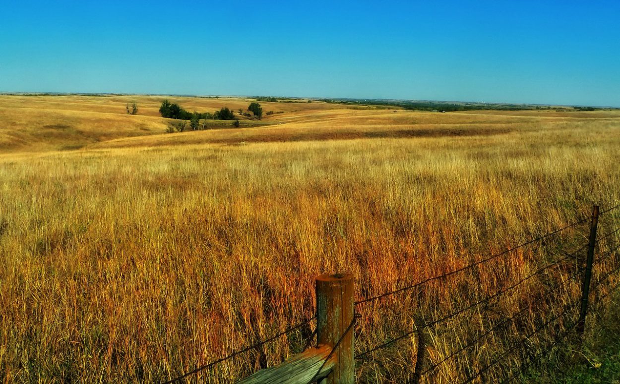 nebraska-pic