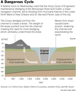 levee