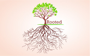 rooted