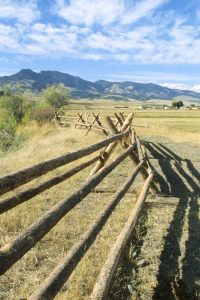 Jackleg fence along the Boulder River in Jefferson County, 2001.