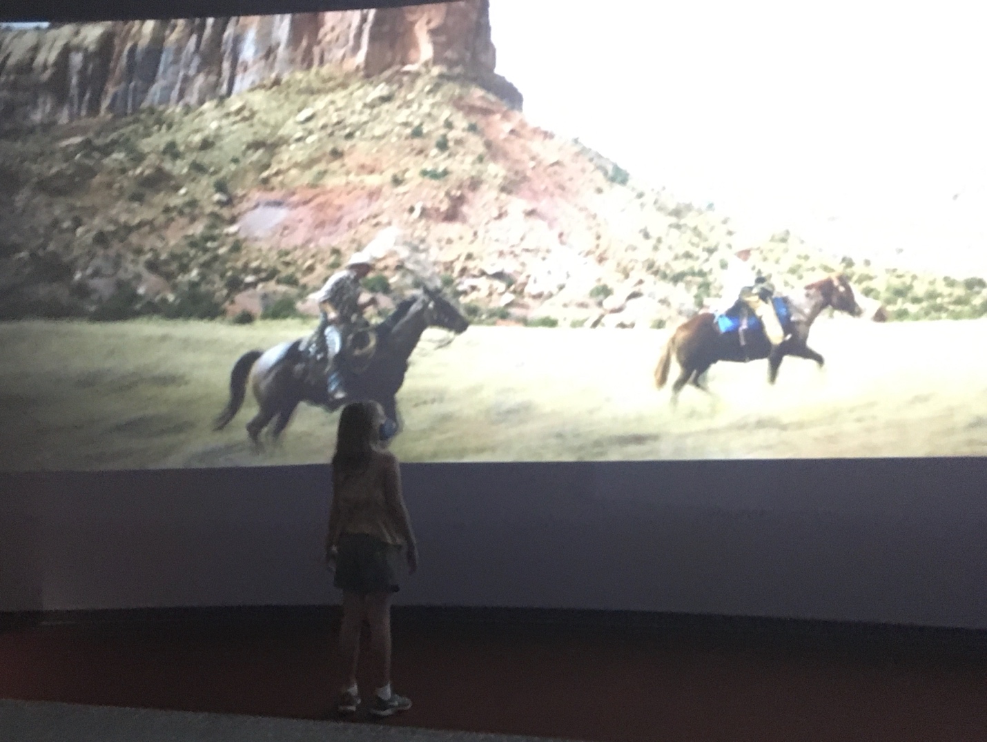 A picture containing mammal, horse
Description automatically generated
