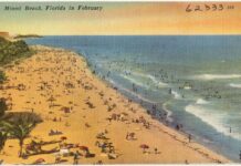 Against the Florida-fication of the World